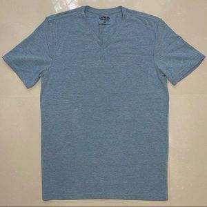 Express Flex Stretch V-neck Shirt